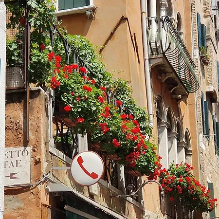 Beroni A Venedig